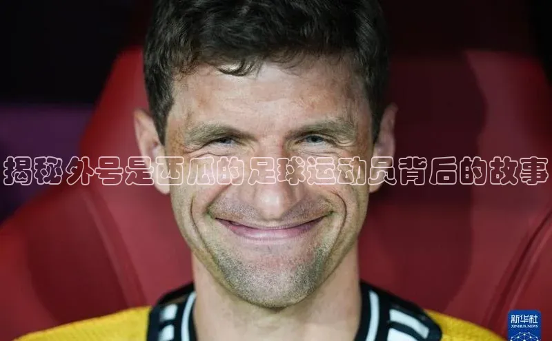 凯捷娱乐中文在线