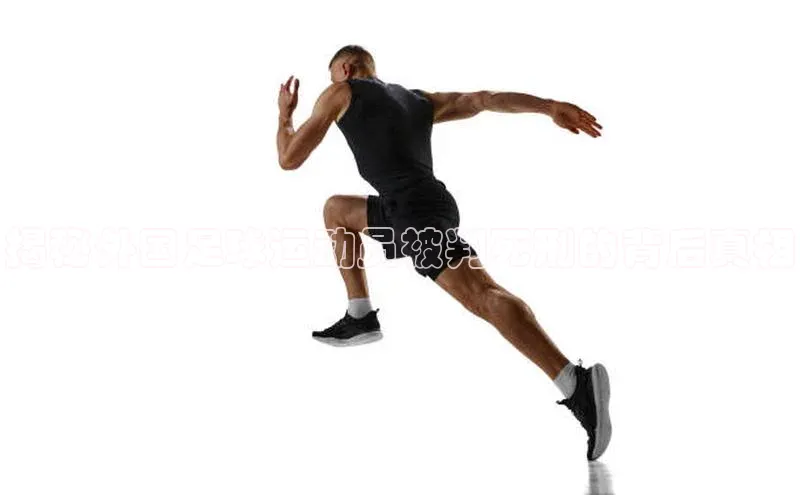 凯捷娱乐阿里尔公司