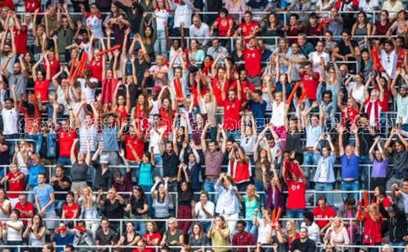 凯捷体育百度人工翻译