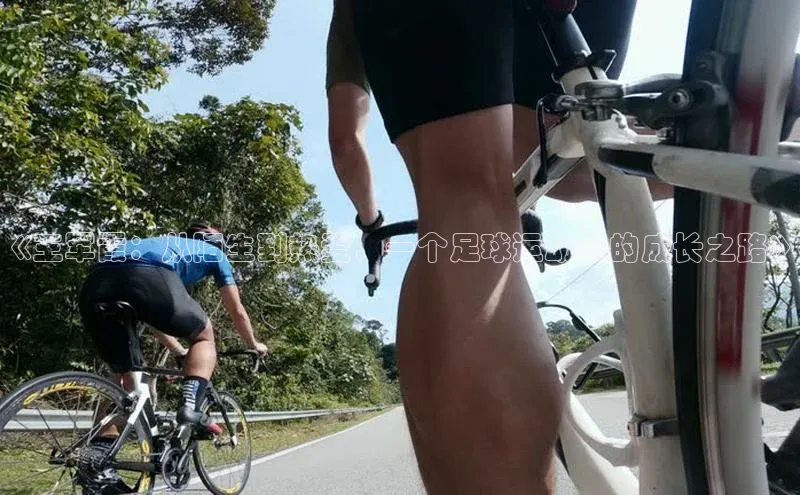 凯捷体育百度营销中心