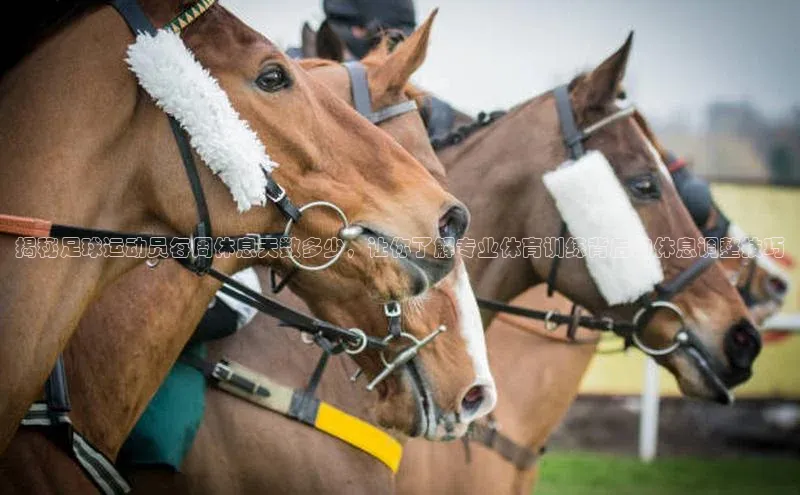意昂4凯捷汉得信息