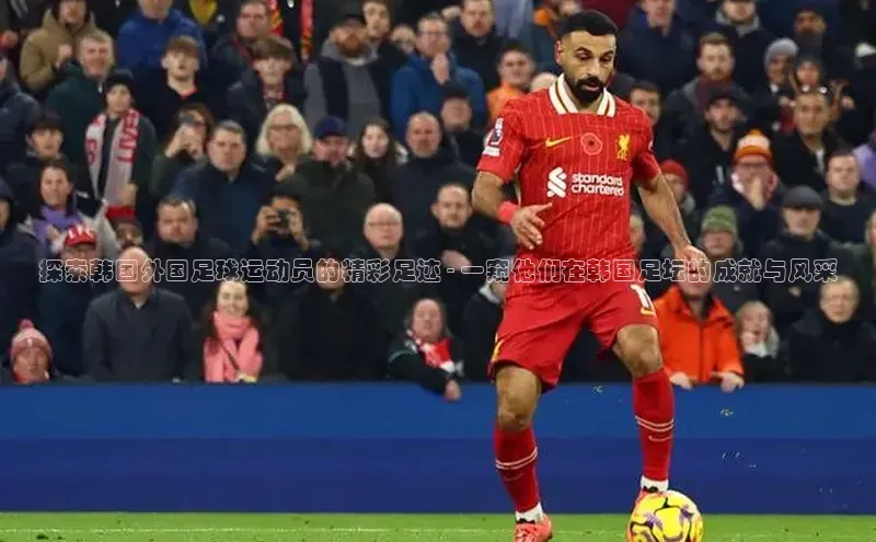 凯捷体育雷柏科技