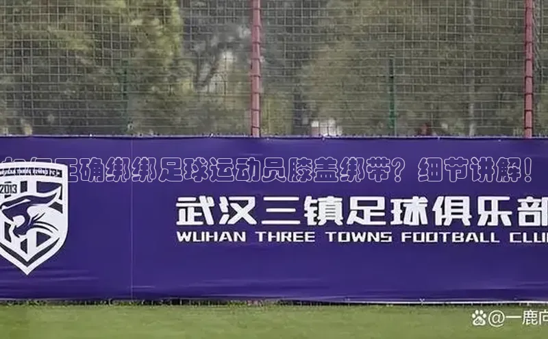 凯捷体育雷柏科技