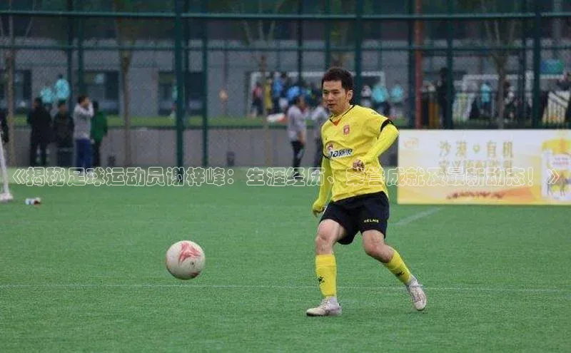 意昂4凯捷体育诸葛科技