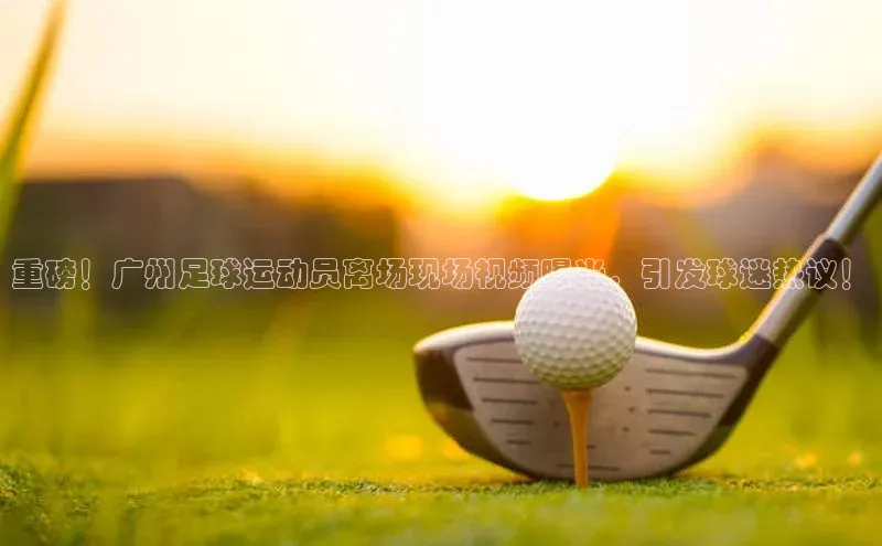 凯捷娱乐阿里尔公司