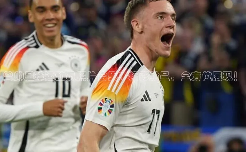 凯捷娱乐百度搜索资源平台