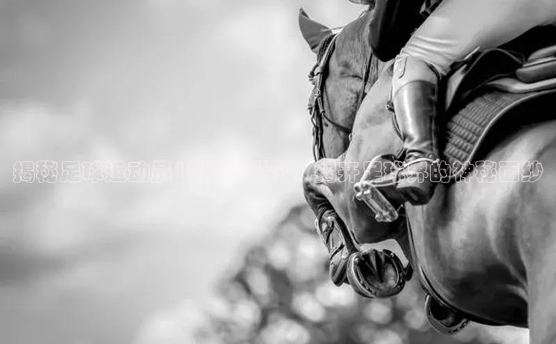 意昂4凯捷体育颐驰 06