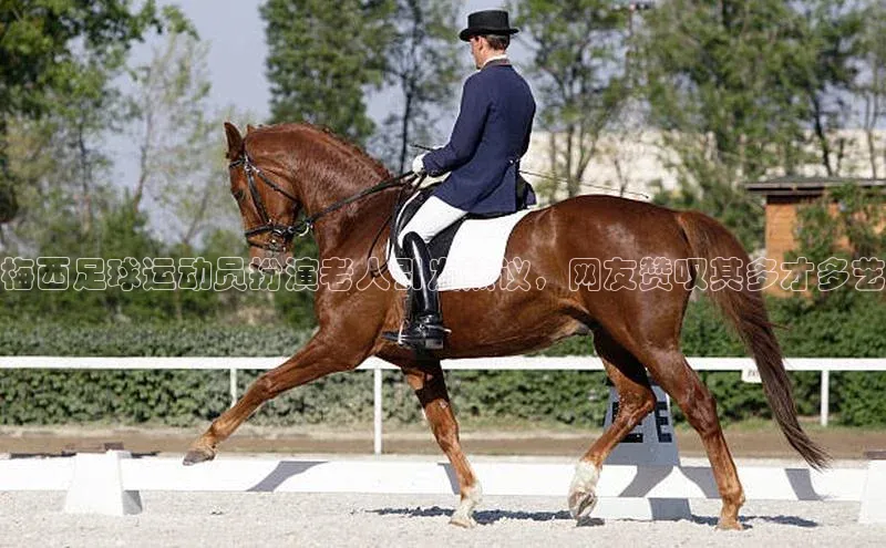 意昂4凯捷娱乐顺丰